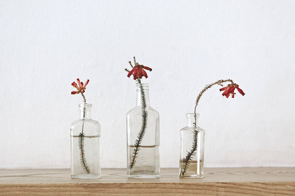 Moments of reflection from the Women at Dear Rae