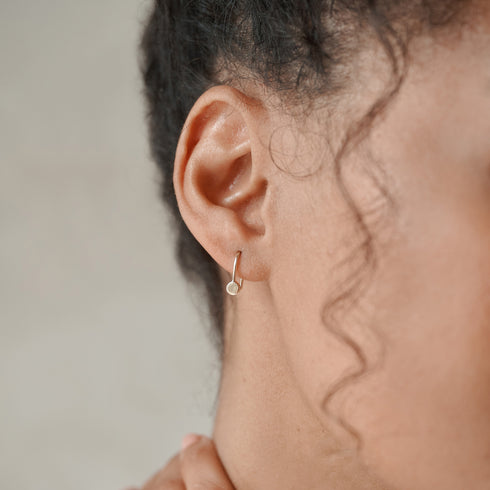 Dot Earrings in Yellow Gold