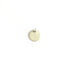 Disc Pendant Charm in Yellow Gold