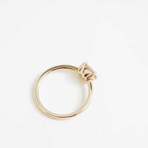 Leda ~ Six Claw Oval Diamond Ring